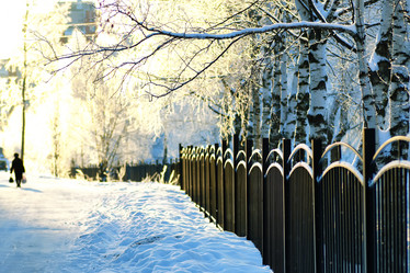 Similar image 13274832