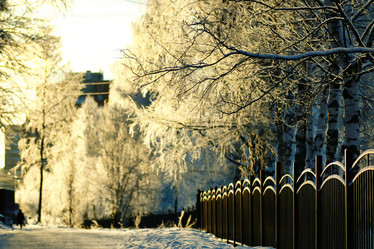 Similar image 13274941