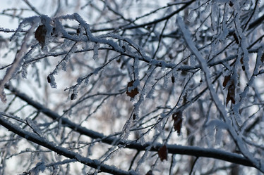 Similar image 13275020