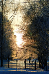 Similar image 13275089