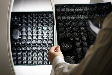 Similar image 13276497