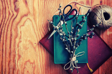 Similar image 13277918