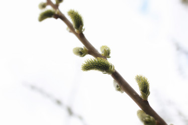 Similar image 13277877