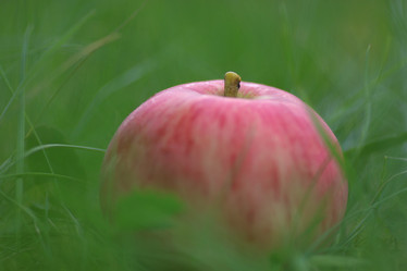 Similar image 13277958