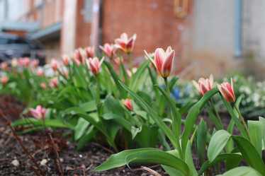 Similar image 13278072