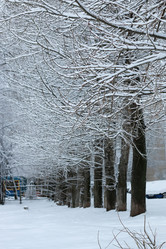 Similar image 13278191