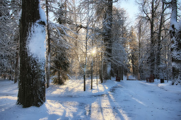 Similar image 13278073