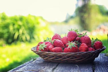 Similar image 13276356