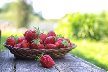 Similar image 13276396