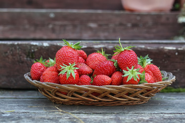 Similar image 13277878