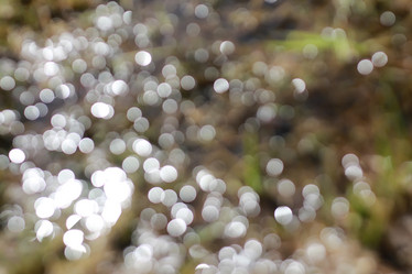 Similar image 13278114