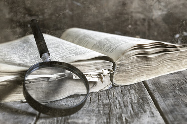 Similar image 13275199