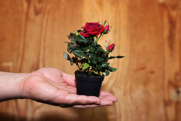 Similar image 13277920