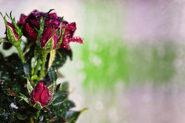 Similar image 13278076