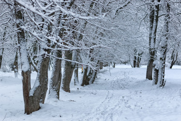 Similar image 13275260