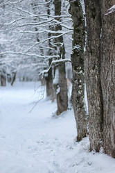 Similar image 13276358