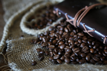 Similar image 13275767