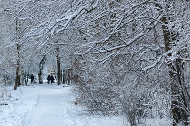 Similar image 13275806