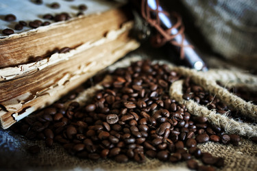 Similar image 13276557