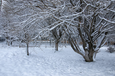 Similar image 13277961