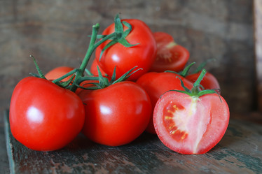 Similar image 13278077