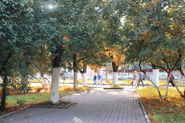 Similar image 13274593