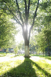 Similar image 13274756