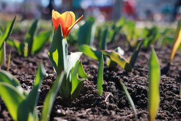 Similar image 13275022