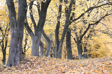 Similar image 13275059