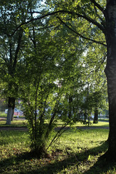 Similar image 13275095