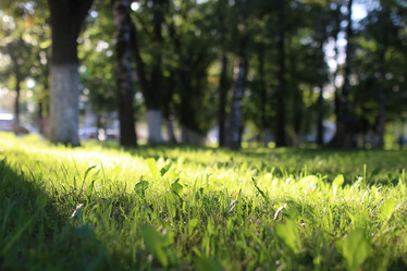 Similar image 13274854