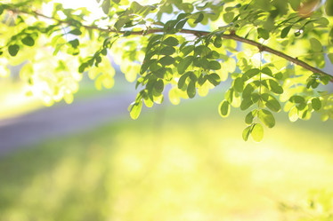 Similar image 13275225