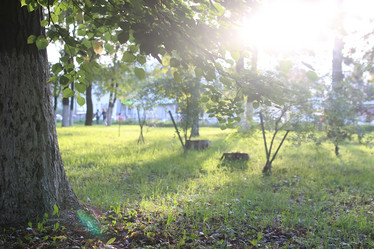 Similar image 13275258