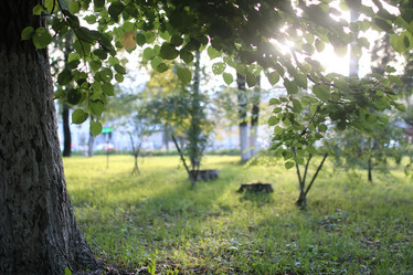 Similar image 13275343