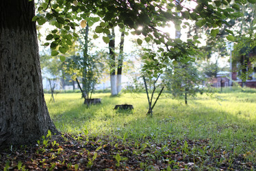 Similar image 13276359