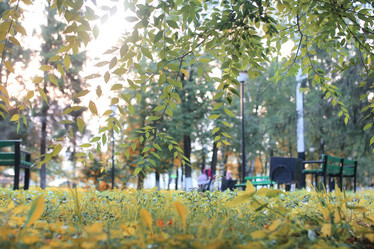 Similar image 13275768