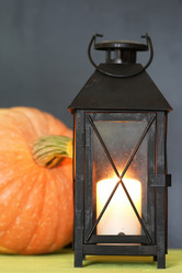 Similar image 13276519