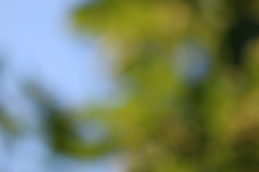 Similar image 13275971