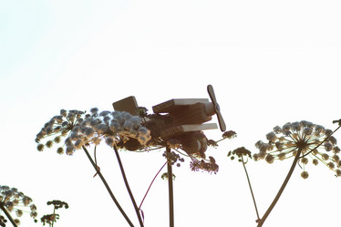 Similar image 13277963