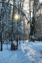 Similar image 13275201