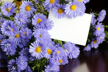 Similar image 13275644