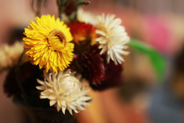 Similar image 13278097