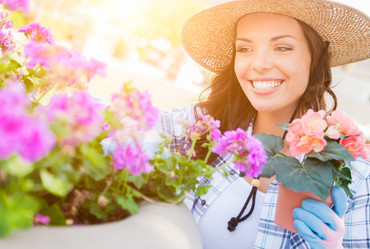 Similar image 13251020