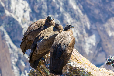 Similar image 13246457