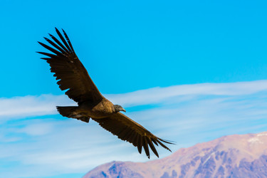 Similar image 13246428