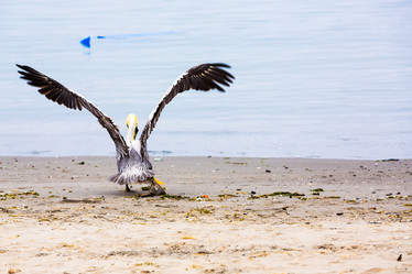 Similar image 13246436