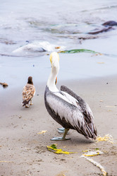 Similar image 13246439