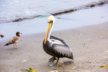 Similar image 13246443