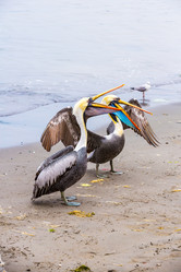 Similar image 13246447