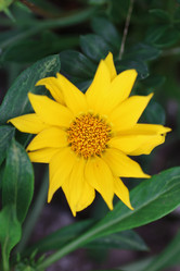 Similar image 13275308